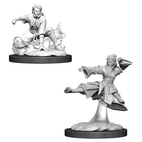 WZK 90008 Human Female Monk