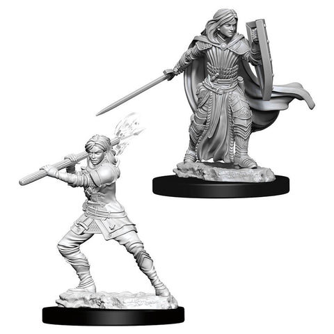 WZK 73830 Human Female Paladin