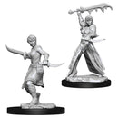WZK 73831 Human Female Rogue