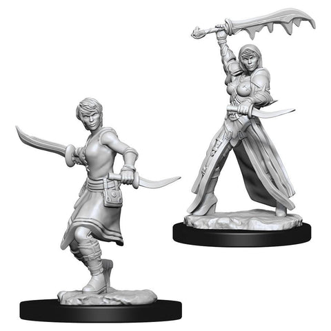 WZK 73831 Human Female Rogue