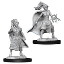 WZK 73832 Human Female Sorcerer