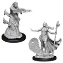 WZK 90012 Human Female Wizard