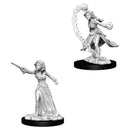 WZK 73412 Human Female Wizard