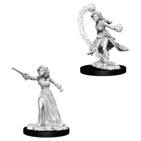 WZK 73412 Human Female Wizard