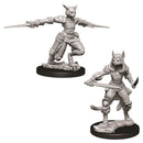 WZK 73708 Tabaxi Female Rogue