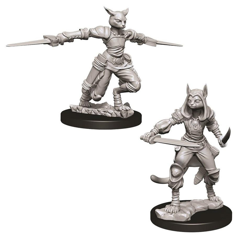 WZK 73708 Tabaxi Female Rogue