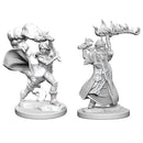WZK 72601 Female Human Cleric