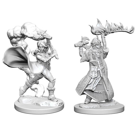 WZK 72601 Female Human Cleric
