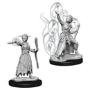 WZK 73837 Human Female Warlock