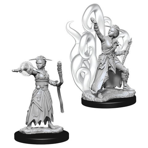 WZK 73837 Human Female Warlock