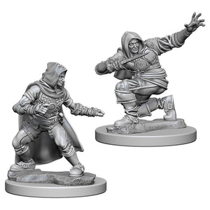 WZK 72602 Human Male Rogue