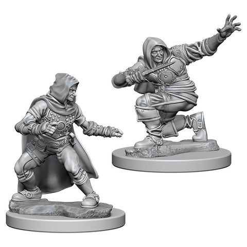 WZK 72602 Human Male Rogue