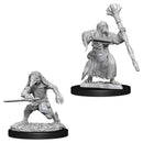 WZK 73840 Kenku Adventurers