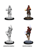 WZK 90058 Tiefling Sorcerer