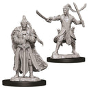 WZK 73707 Elf Male Paladin