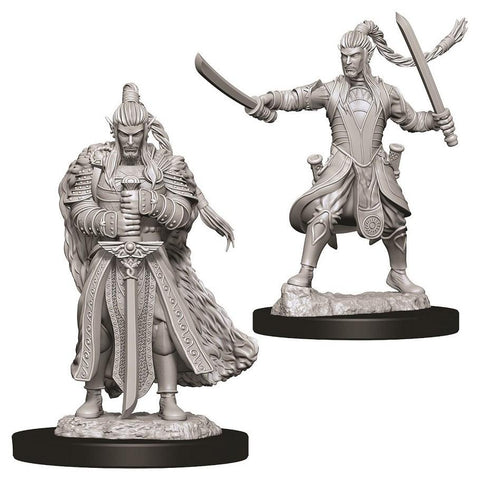 WZK 73707 Elf Male Paladin