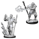 WZK 90013 Firbolg Male Druid