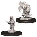 WZK 73722 Gnome Male Sorcerer