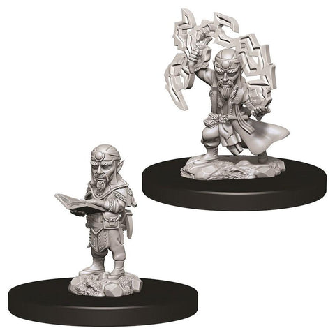 WZK 73722 Gnome Male Sorcerer