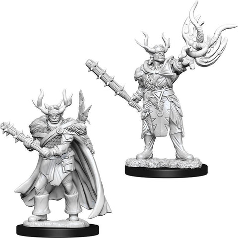 WZK 73853 Half-Orc Male Druid