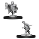 WZK 90006 Halfling Male Rogue