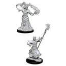 WZK 90052 Human Male Sorcerer