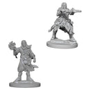 WZK 73411 Human Male Wizard