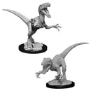 WZK 90047 Raptors