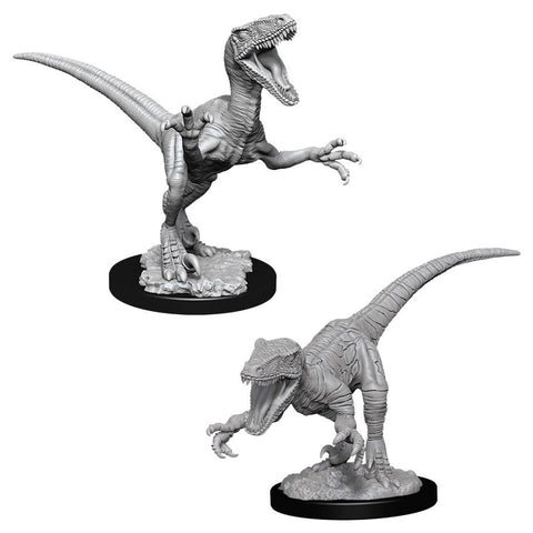 WZK 90047 Raptors