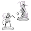 WZK 73202 Tiefling Female Sorcerer