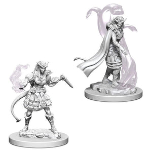 WZK 73202 Tiefling Female Sorcerer