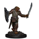 WZK 93006 Male Dragonborn Paladin
