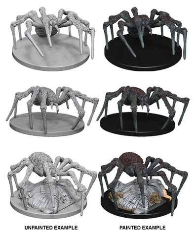WZK 72558 Spiders