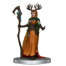 WZK 74276 Critical Role: Vox Machina Boxed Set