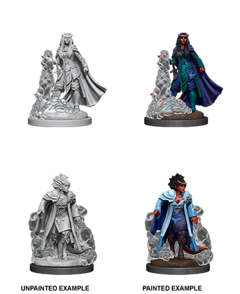 WZK 90059 Tiefling Sorcerer