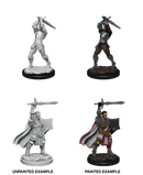 WZK 90060 Human Paladin
