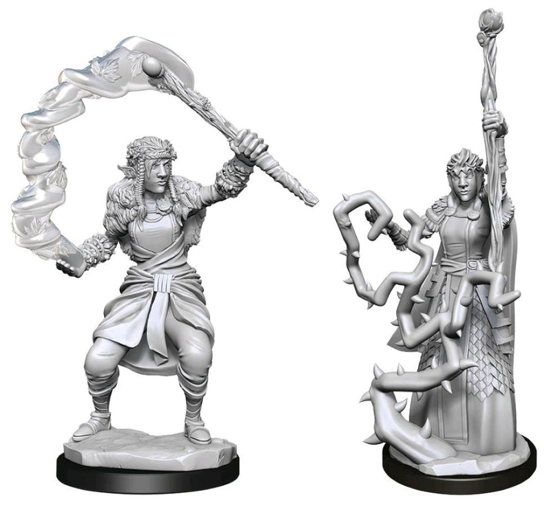 WZK 90146 Deep Cuts: Firbolg Druid Female