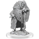 WZK 90586 D&D Nolzur's Marvelous Unpainted Minis: Wereravens