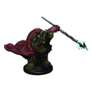 WZK 93016 Tortle Monk Premium Figure