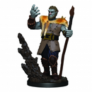 WZK 93013 Firbolg Druid Premium Figure