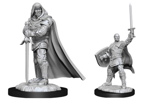 WZK 90220 Wizkids Deep Cuts: Human Paladin Male