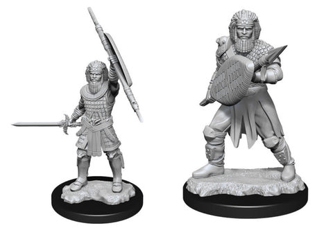 Nolzur's Marvelous Miniatures: Human Fighter Male
