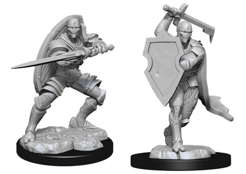 WZK 90147 Nolzur's Marvelous Miniatures: Warforged Fighter Male