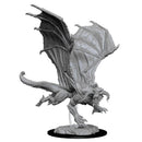 WZK 73682 Young Black Dragon