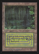 Bayou [Collectors’ Edition]