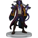 WZK 74277 Critical Role: The Mighty Nein Boxed Set