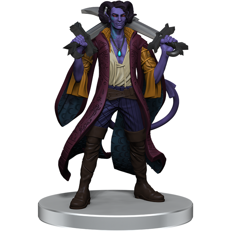 WZK 74277 Critical Role: The Mighty Nein Boxed Set