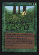 Kudzu [International Collectors’ Edition]