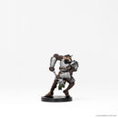 WZK 96015 Cave Defenders