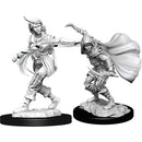 WZK 90269 Female Human Rogue